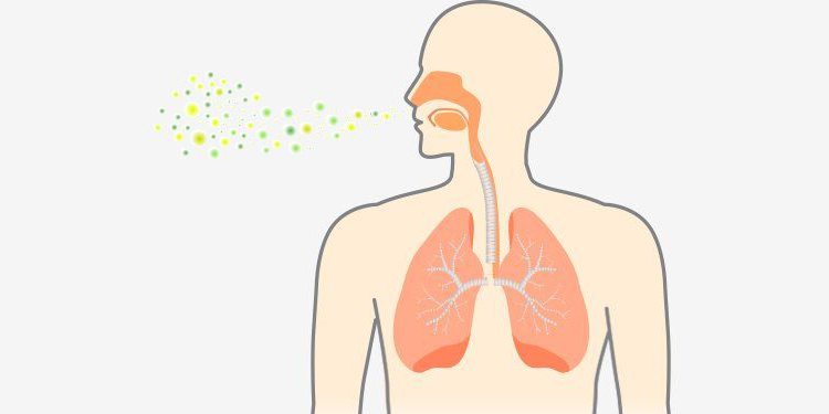 Pneumonia - Overview, Causes, Types, Treatment