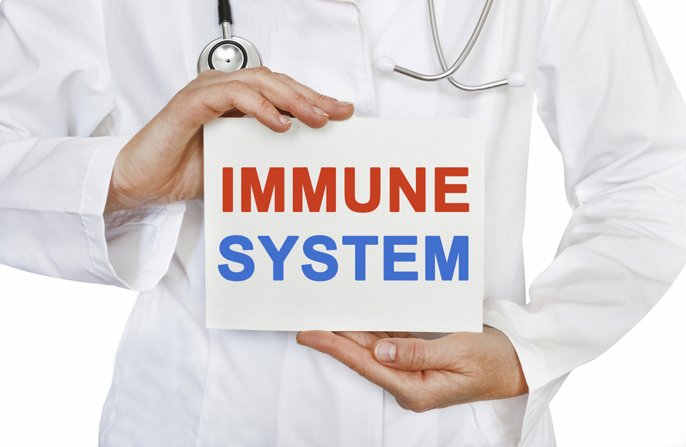 Why is the immune system essential for our health?